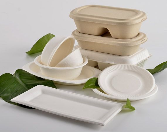 Paper Food Containers