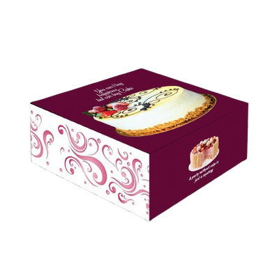 100 Pieces Cake Box (10x10x5 inch)